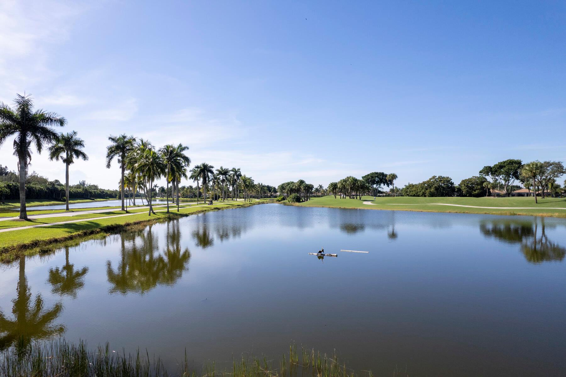 Ibis-Orchid Hammock - Residential