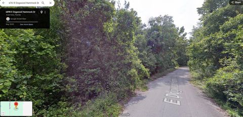 6761 E Dogwood Hammock Drive Inverness FL 34453