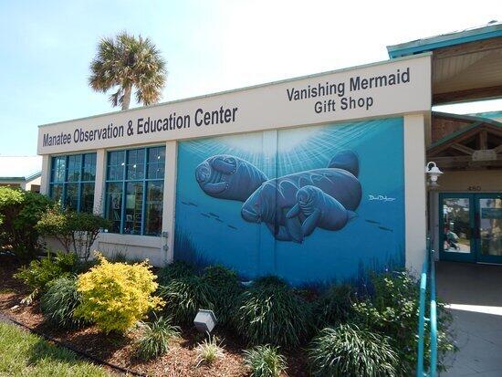 LONGWOOD VILLAGE PHASE 1 - Residential