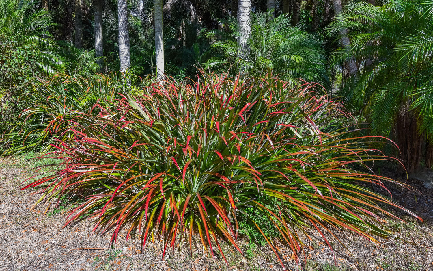Loxahatchee Groves - Residential