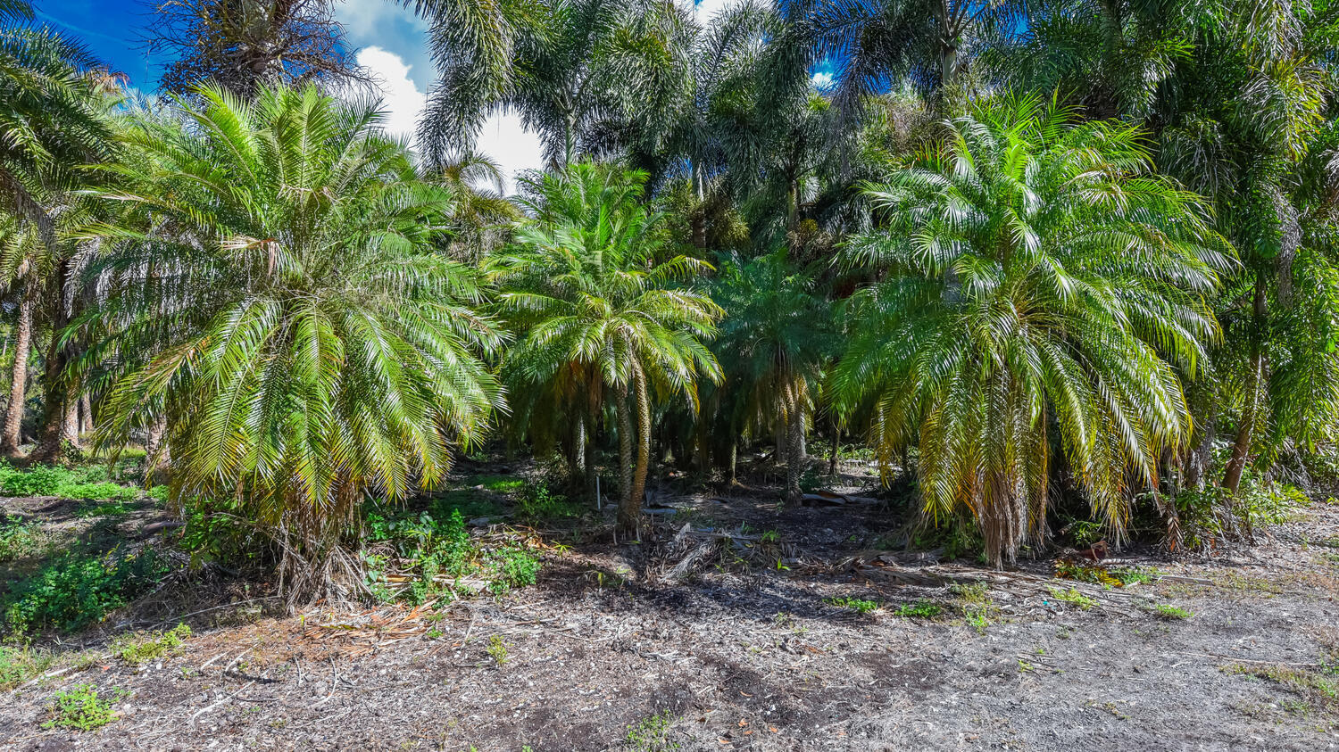 Loxahatchee Groves - Residential