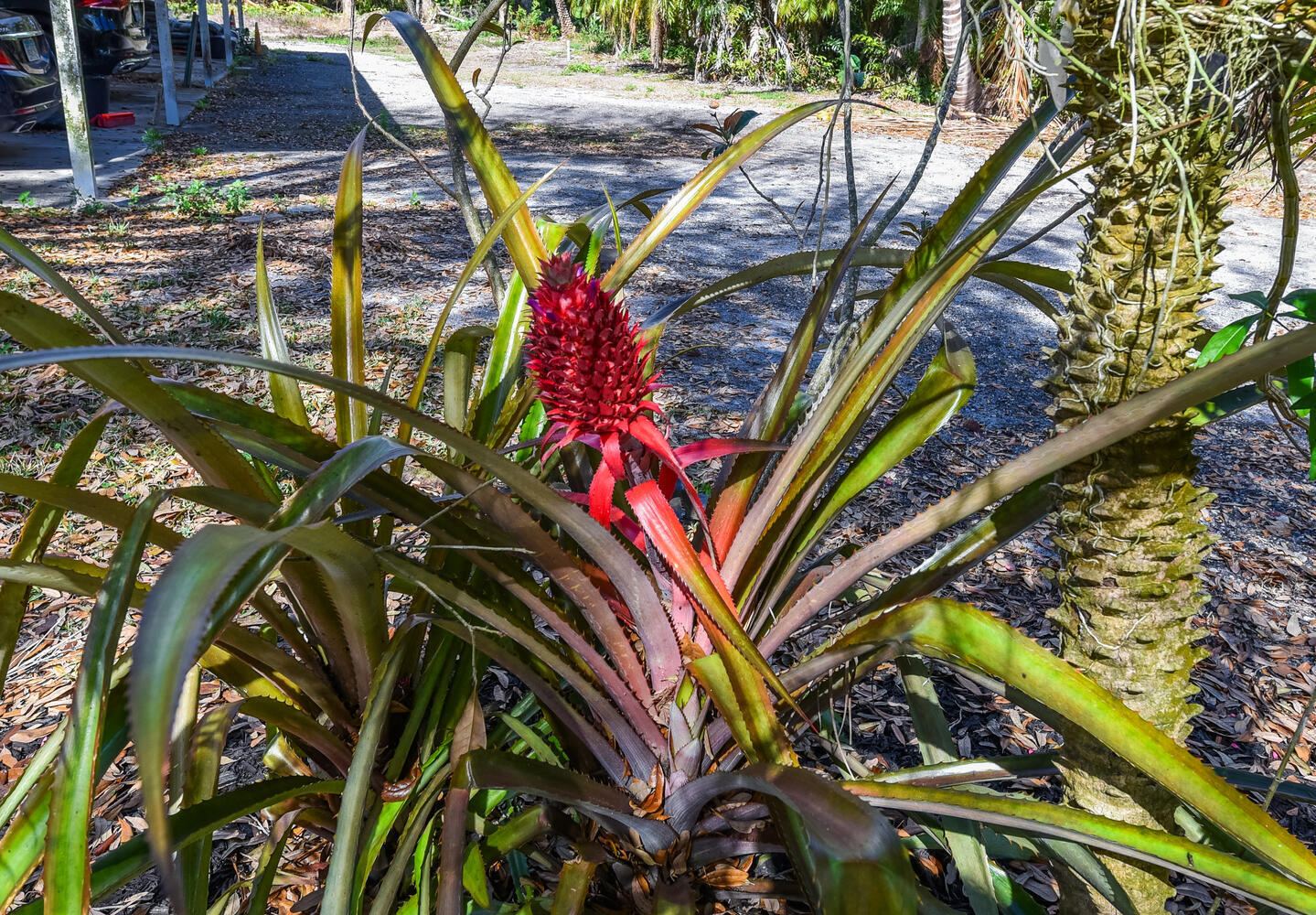 Loxahatchee Groves - Residential