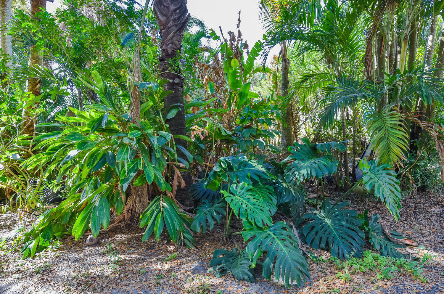 Loxahatchee Groves - Residential