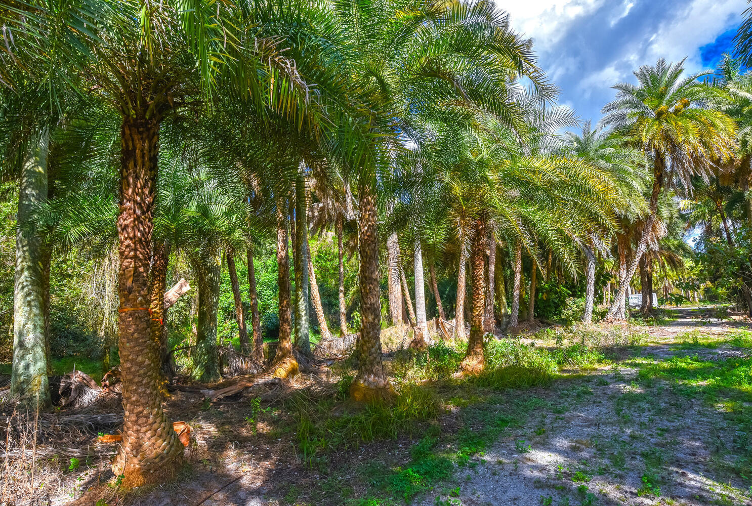 Loxahatchee Groves - Residential