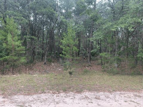 0 Huron Interlachen FL 32148