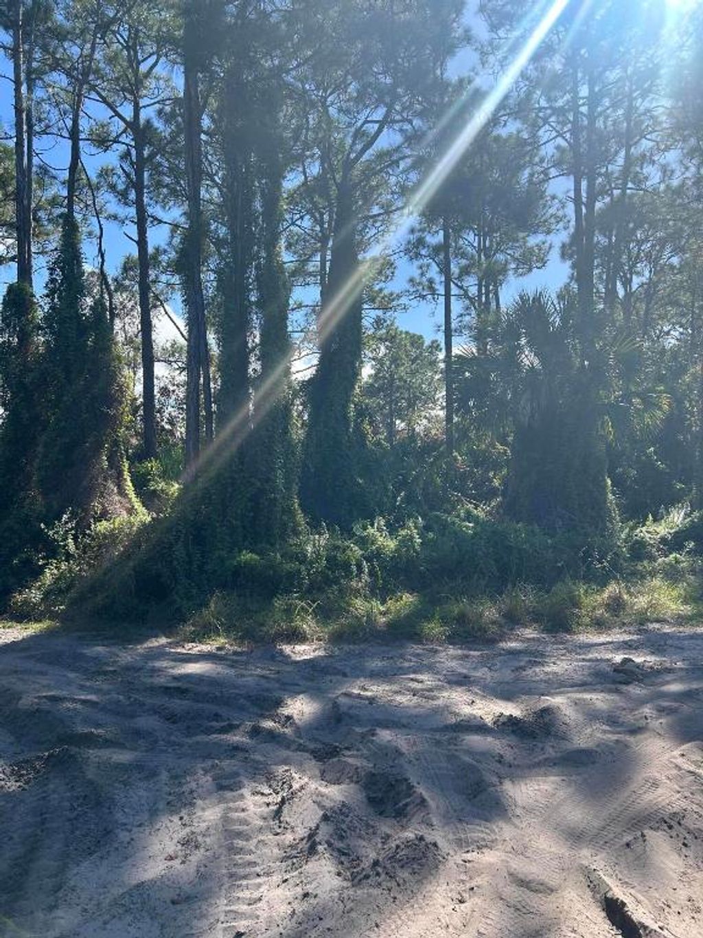 Photo of 0 Slash Pine Trail, Fort Pierce, FL 34945 (MLS # R11043423)