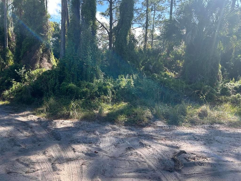 Photo of 0 Slash Pine Trail, Fort Pierce, FL 34945 (MLS # R11043423)