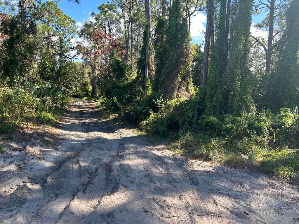 Photo of 0 Slash Pine Trail, Fort Pierce, FL 34945 (MLS # R11043423)