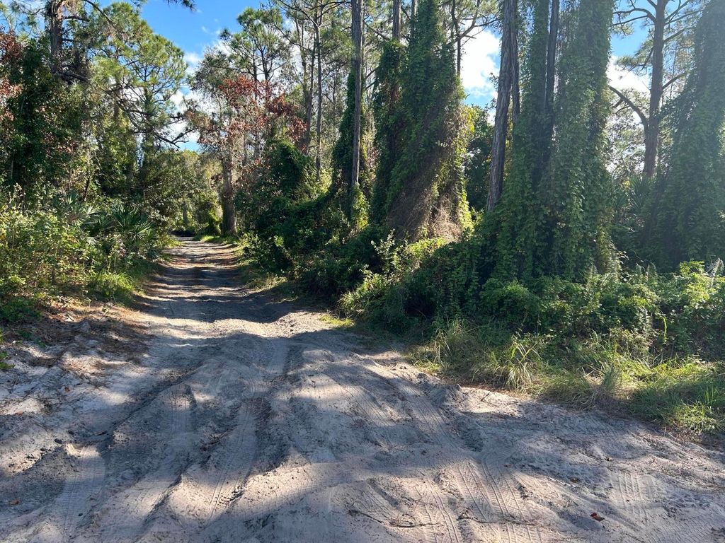 Photo of 0 Slash Pine Trail, Fort Pierce, FL 34945 (MLS # R11043423)