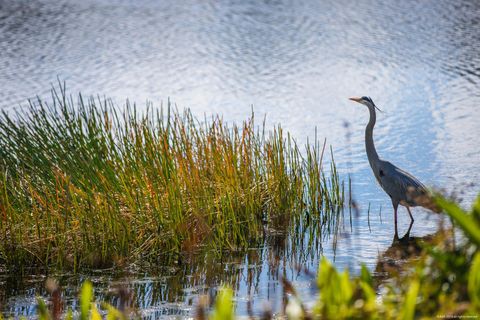 A home in Hobe Sound