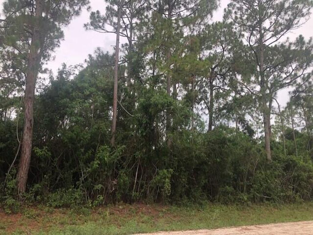 Photo of 0000 30th Lane N, Loxahatchee, FL 33470 (MLS # R10726161)