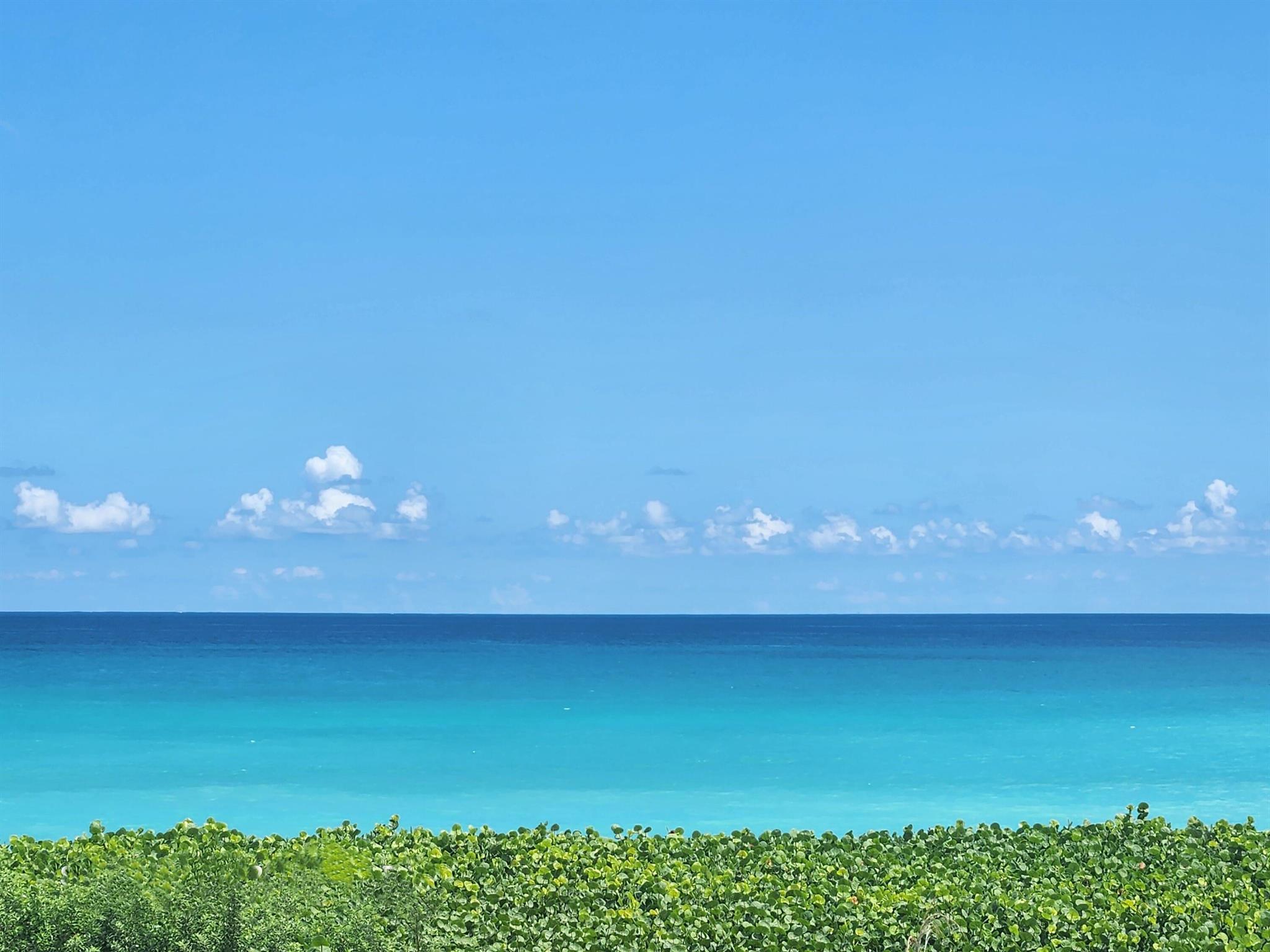 OCEAN ROYALE CONDO - Residential