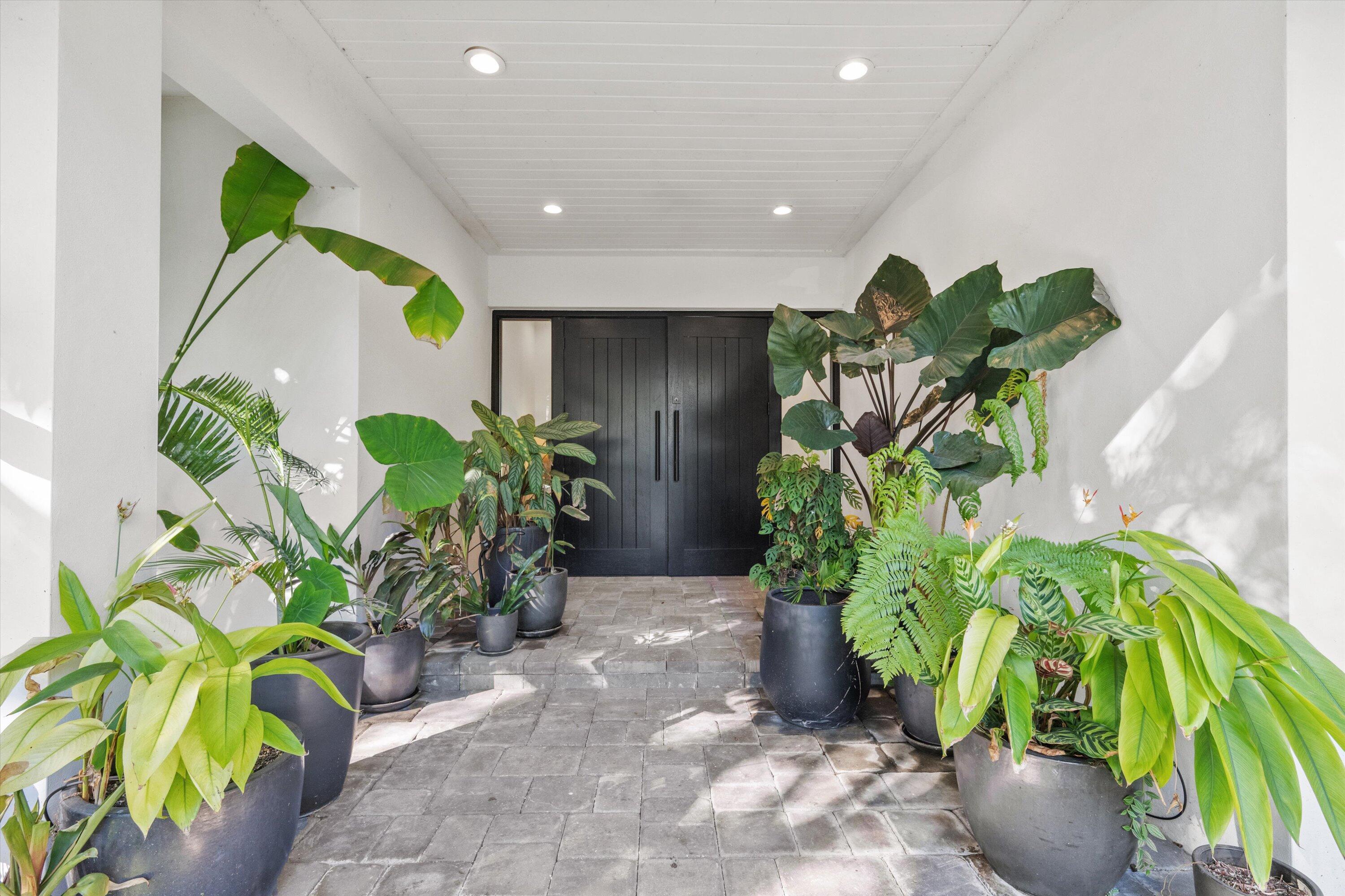 MAIDSTONE - Residential Lease