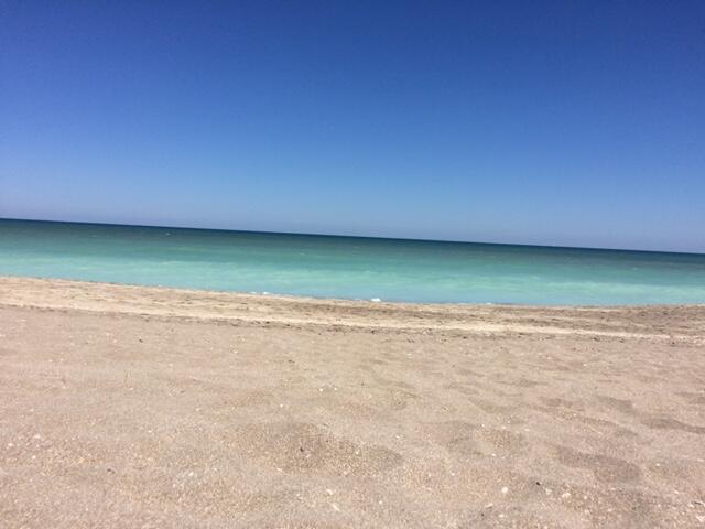 Ocean Village - Residential