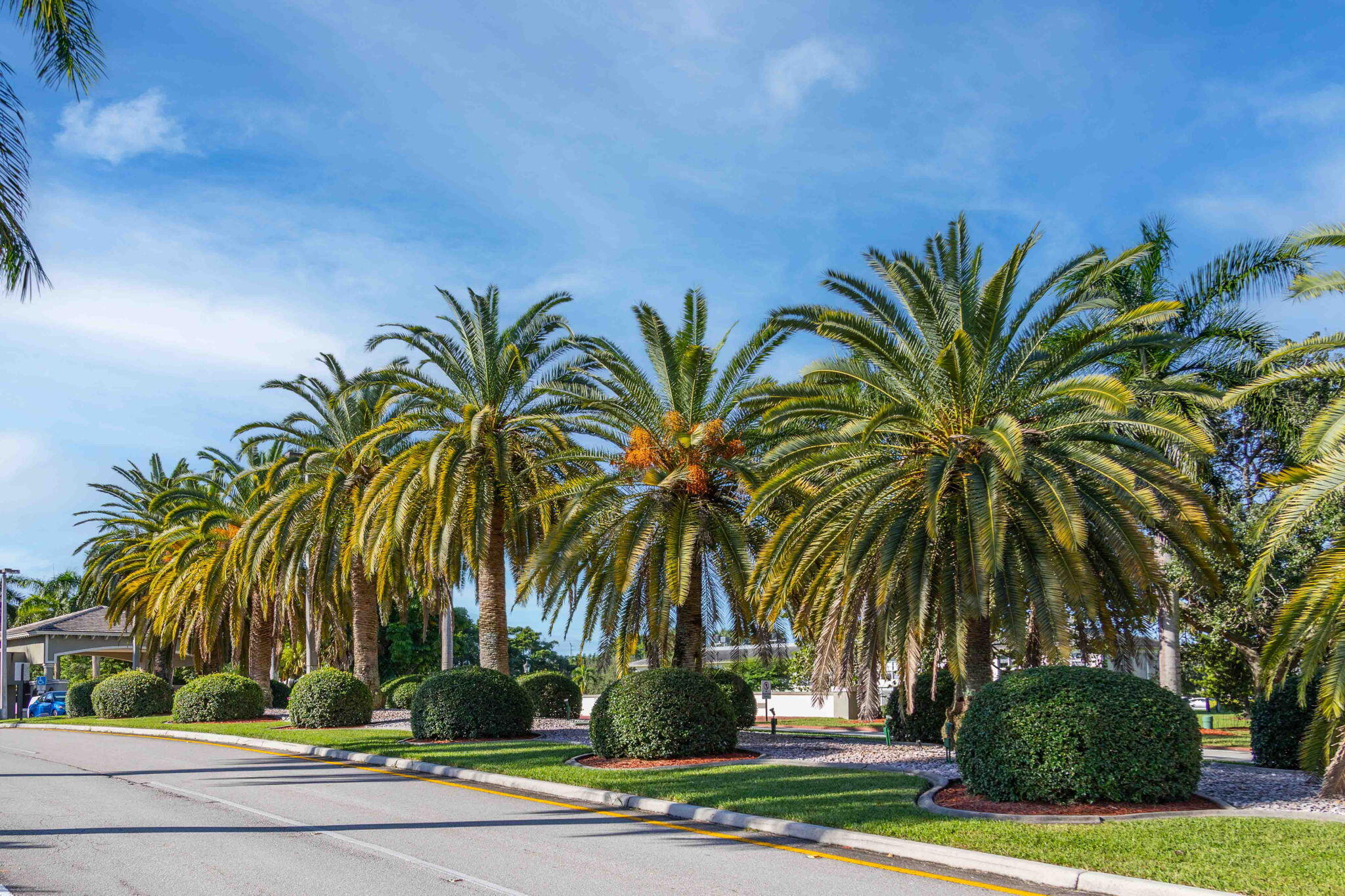 PORTOFINO VILLAGE 2-E CONDO - Residential