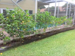 CYPRESS WOODS 1 - Residential