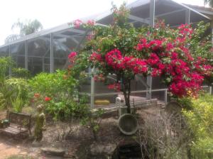 CYPRESS WOODS 1 - Residential