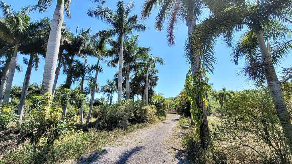 Photo of 4095 Windmill Road, Loxahatchee, FL 33470 (MLS # B26042601)