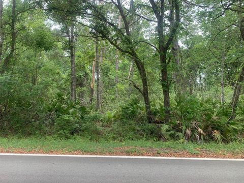0 Theresa Ave Interlachen FL 32148