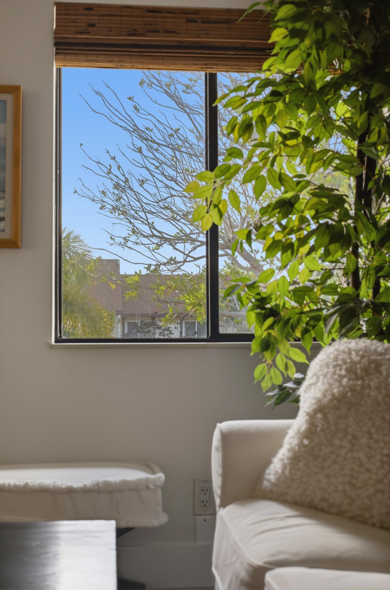 PINE RIDGE IV COND DECL FILED - Residential