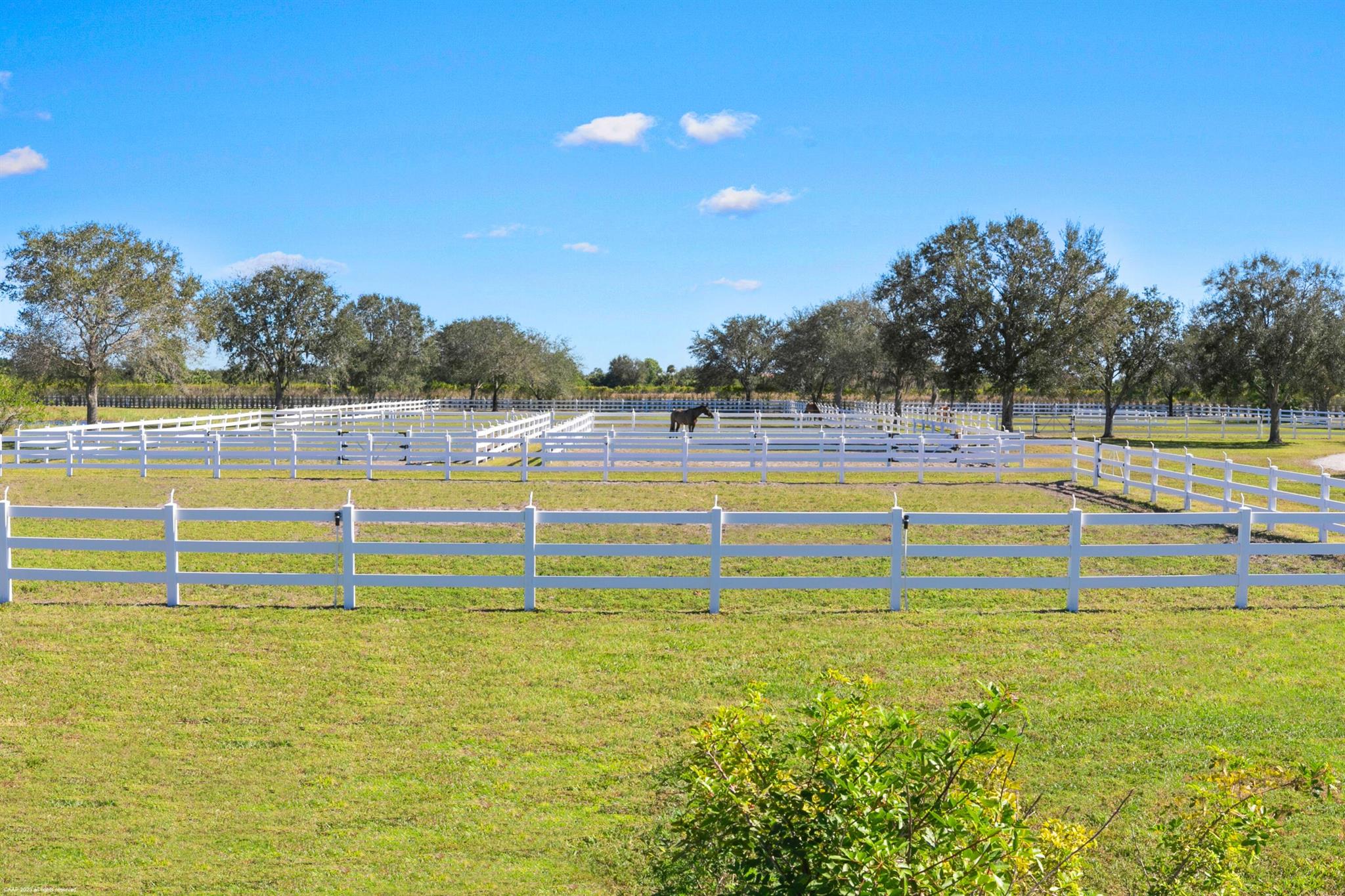 WHITE FENCES EQUESTRIAN E - Residential