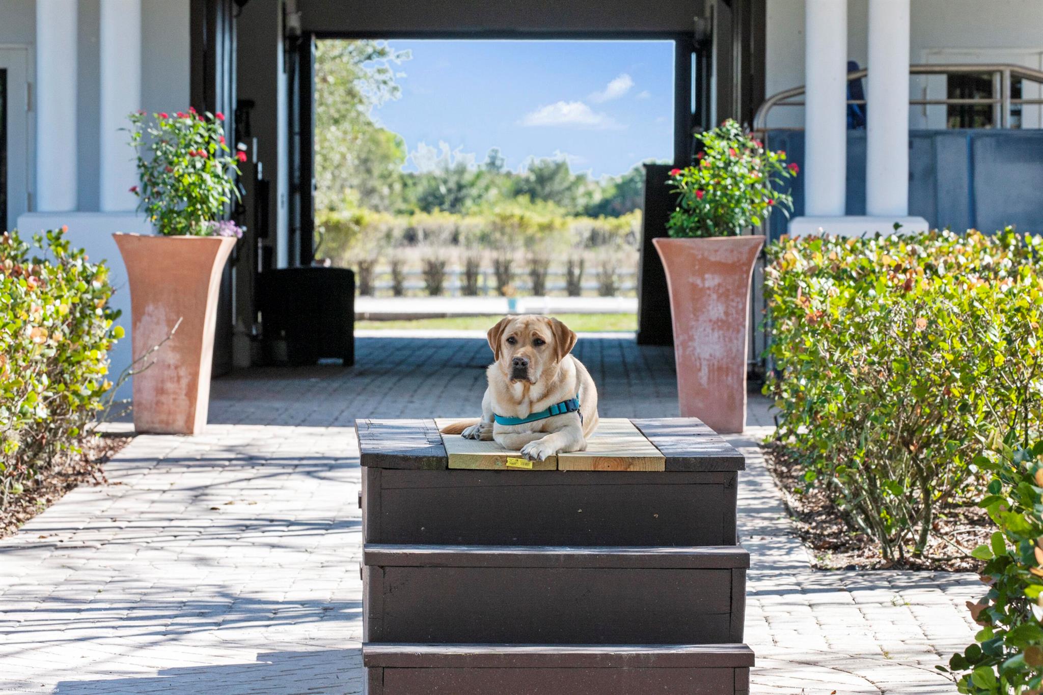 WHITE FENCES EQUESTRIAN E - Residential