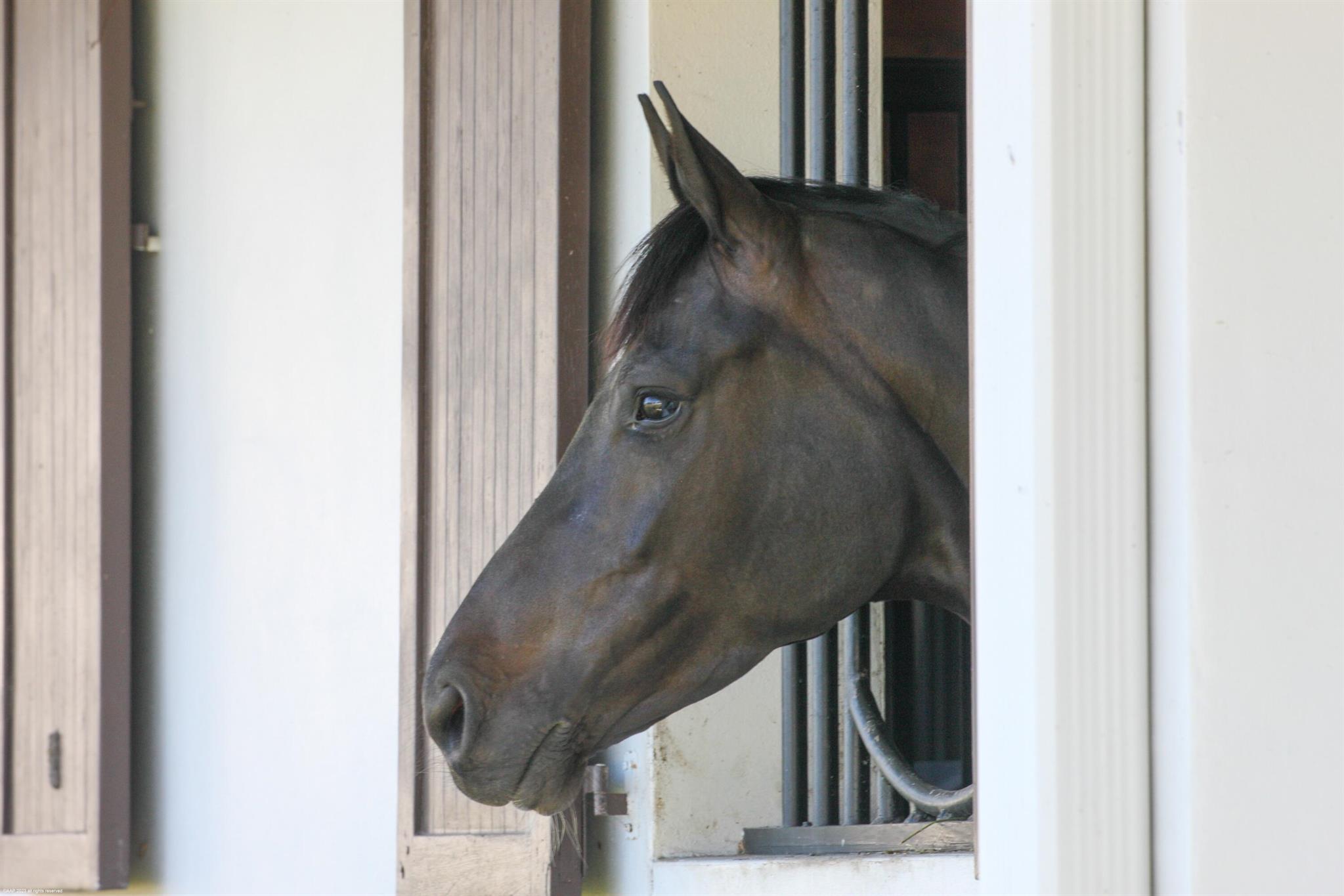 WHITE FENCES EQUESTRIAN E - Residential