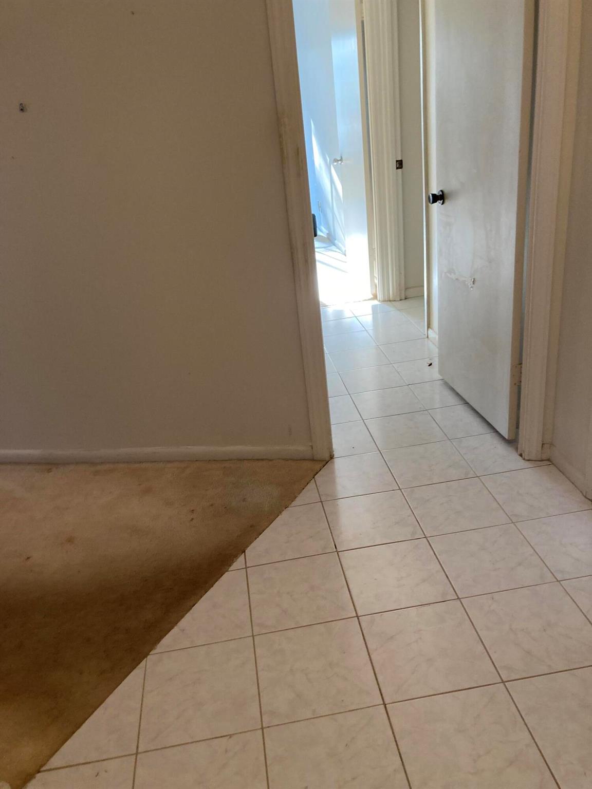 Longwood condo - Residential