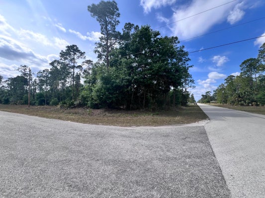 4206 E 10TH ST, LEHIGH ACRES, FL 33972 - Image 078a11cf8ded95860f00f431e4d7d22e/719768655