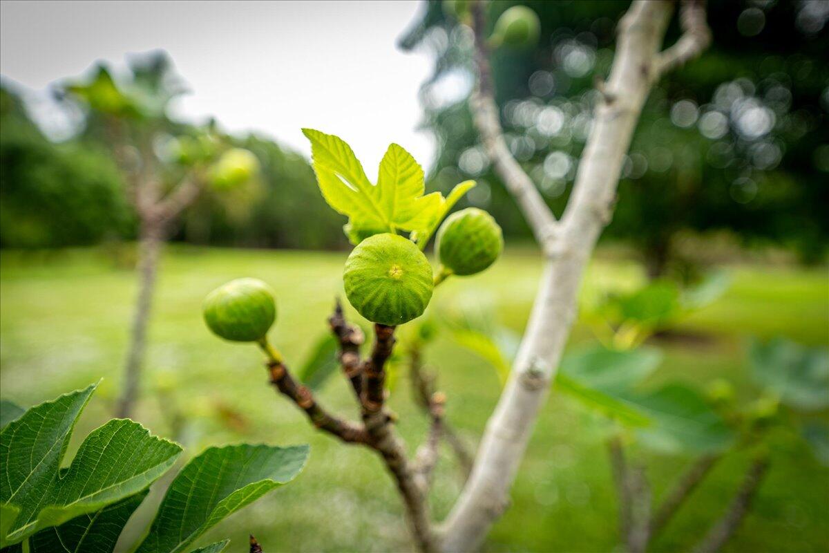 OSPREY RIDGE PORT ST LUCIE SECTION 26 - Residential