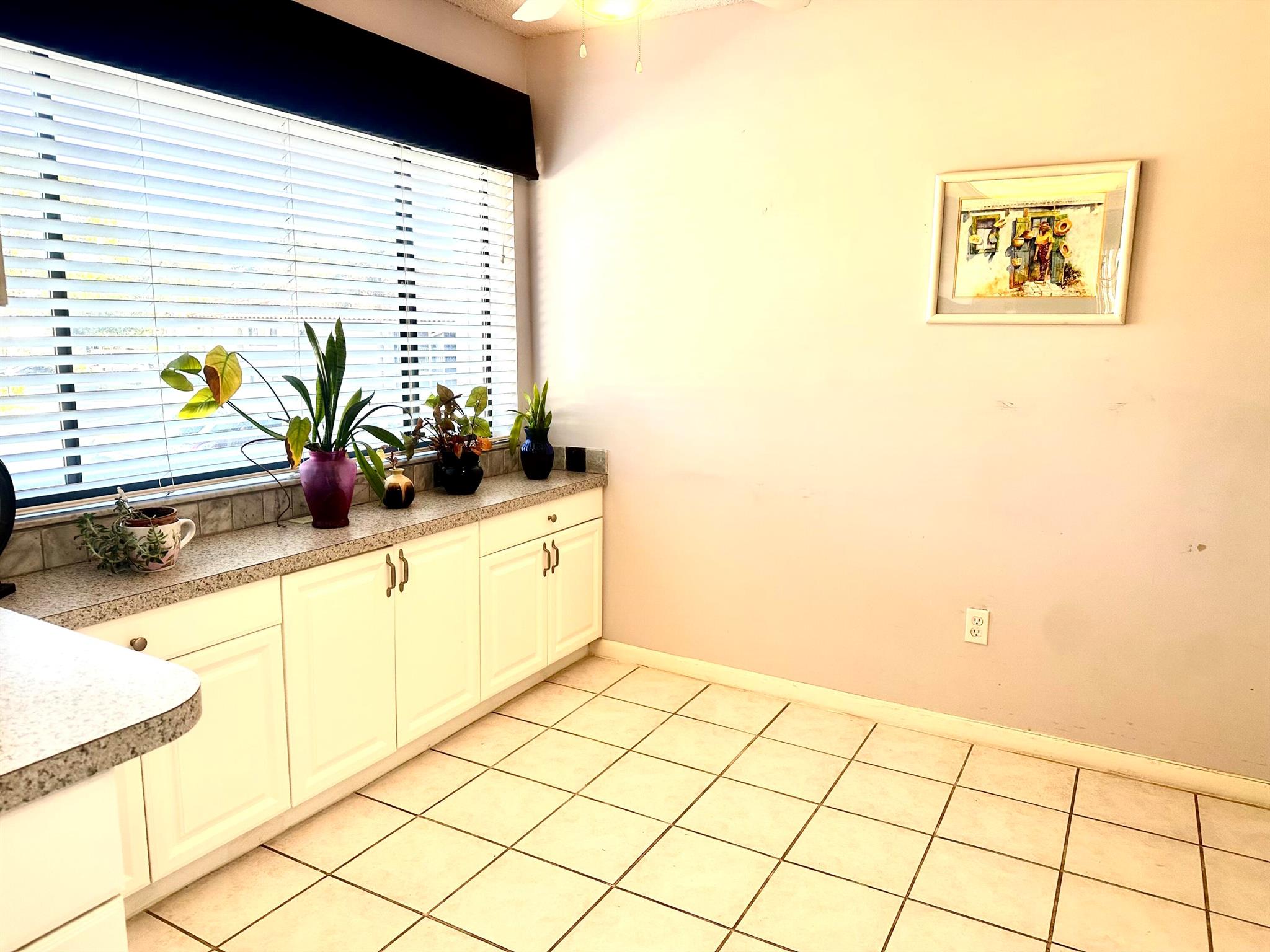 Pelican Pointe Condo - Residential