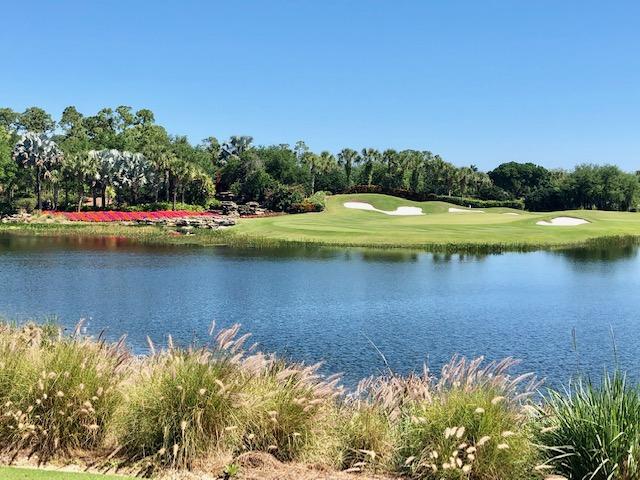 OLD PALM - Residential