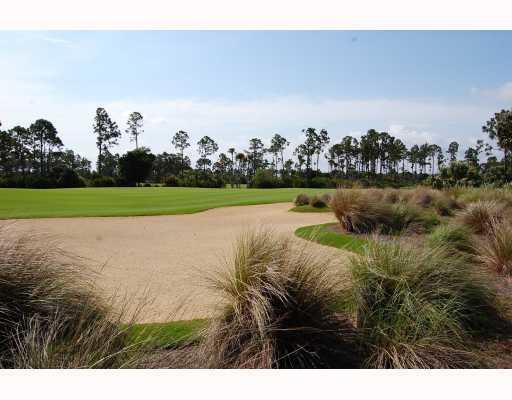 OLD PALM - Residential