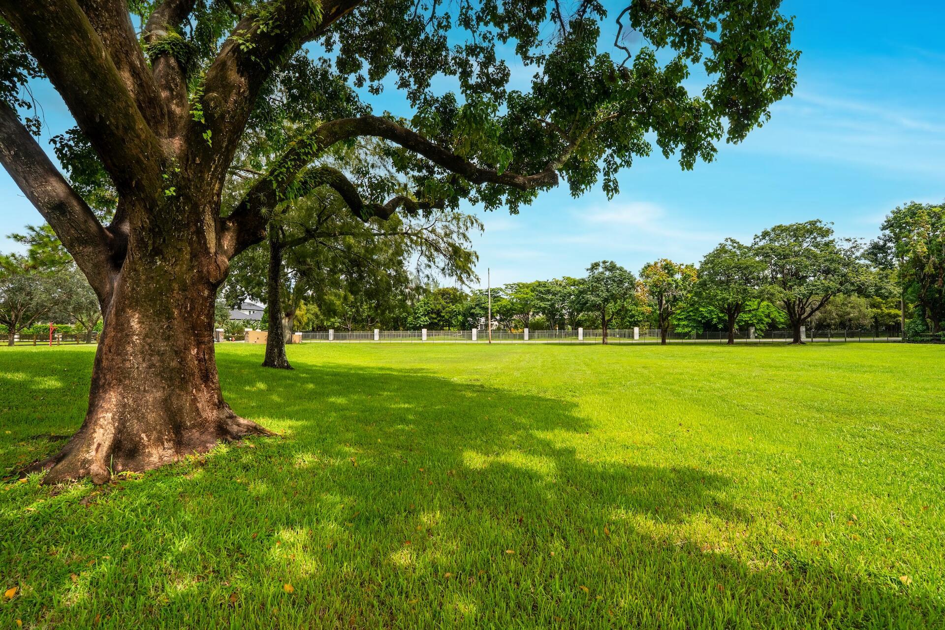 BBB Ranches - Residential