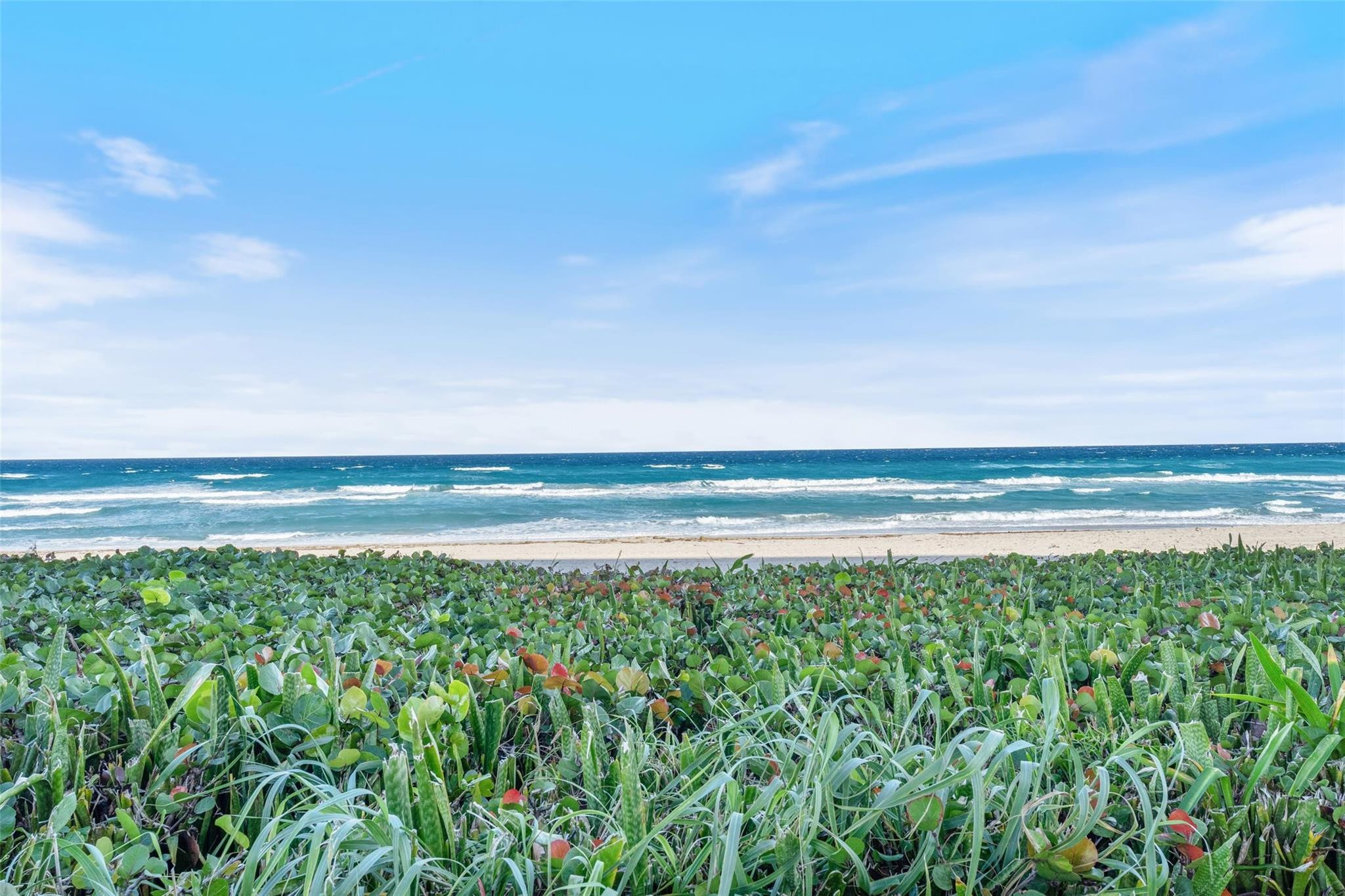 PALM BEACH HAMPTON CONDO - Residential