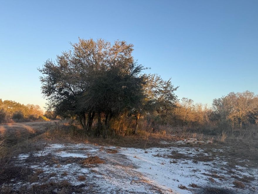 Build your dream home or invest in your future with this beautiful 1.25-acre vacant lot located in the desirable Viking Estates / Prairie area of Okeechobee County. This high and dry, cleared property offers plenty of space and flexibility—perfect for a single-family home, manufactured home, weekend retreat, private homestead, or small ranch. A culvert is already in place for easy access, and power poles are nearby, making electric hookup simple and convenient. The property is gated, cleared, and ready for your vision. Enjoy the peace of rural living while still being within easy driving distance to downtown Okeechobee, shopping, schools, and the world-renowned Lake Okeechobee—famous for boating and record-setting bass fishing. With the area experiencing steady growth, this is an excellent opportunity to purchase affordable Florida land with strong potential for future value.