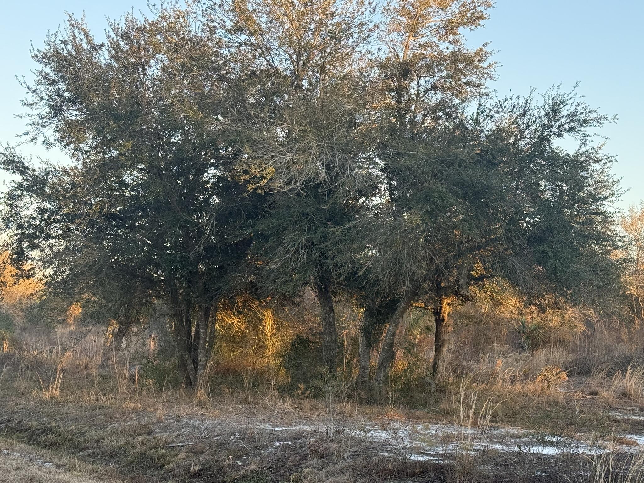 18344 NW 284th Street