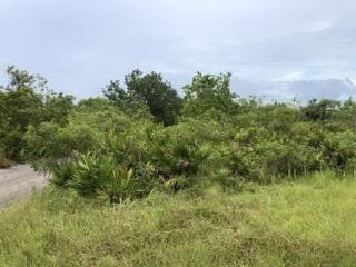 Cle11 Central Lake Estates - Land