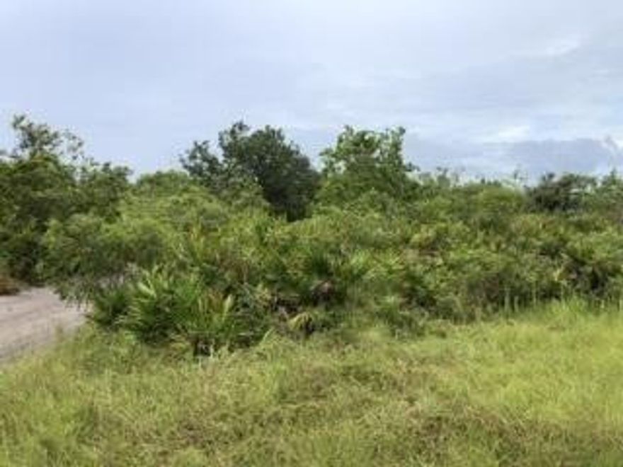 Partially wooded and partially cleared. Great hunting spot, campsite, or spot to unload your 4-wheelers for a day of riding around miles of trails.Owner financing available