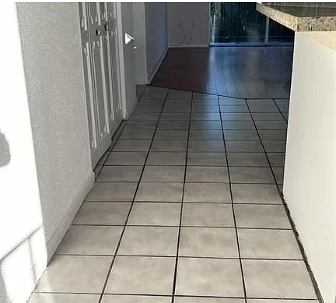 809 W Oakland Park Blvd K9