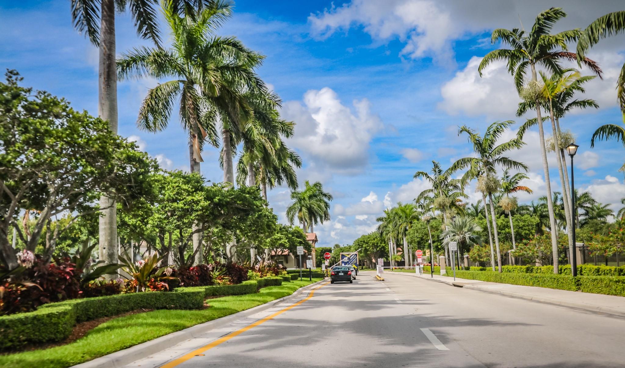 TRELLIS - Residential