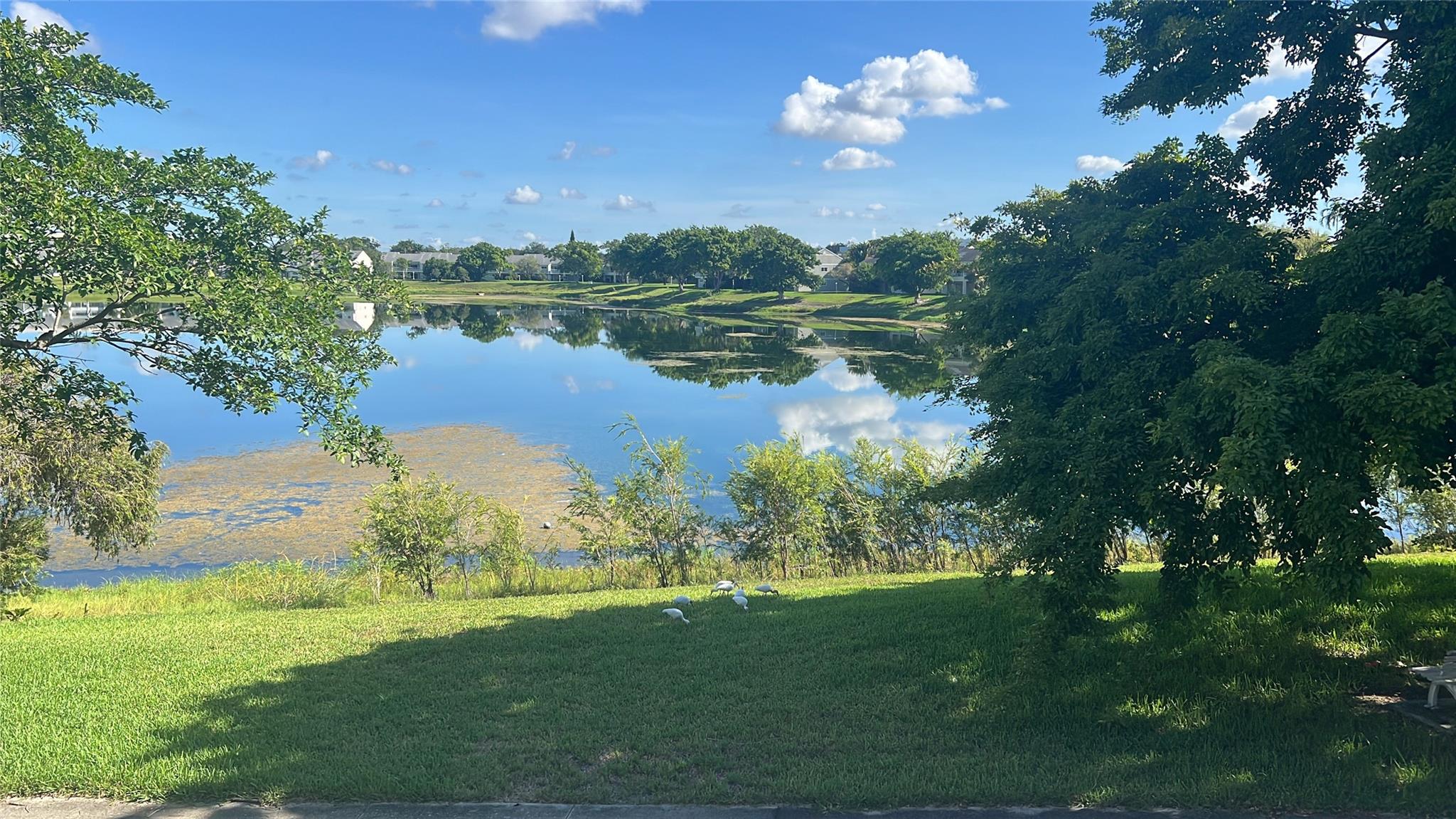 Summer Lake Condominium - Residential