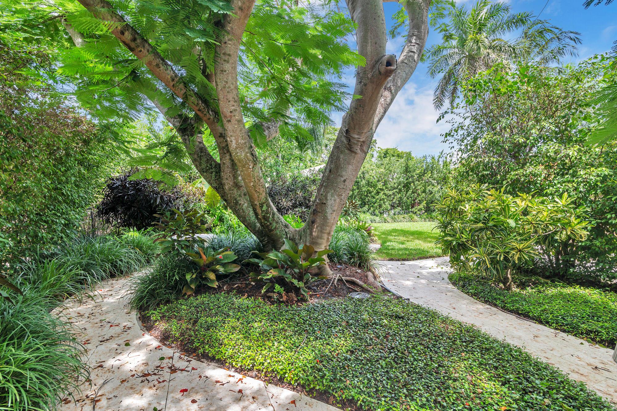 El Cid - Residential