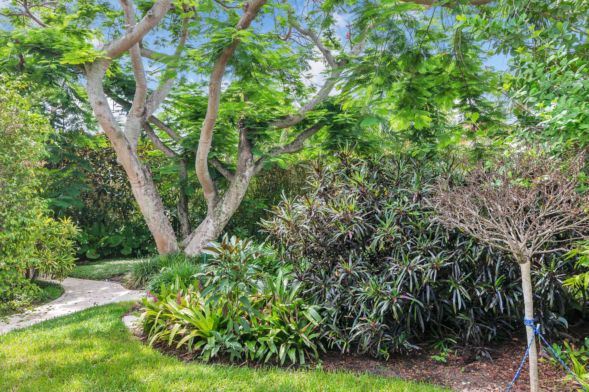 El Cid - Residential