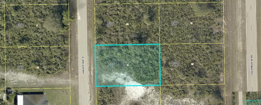 Build your dream home on this beautiful lot in Lehigh Acres.