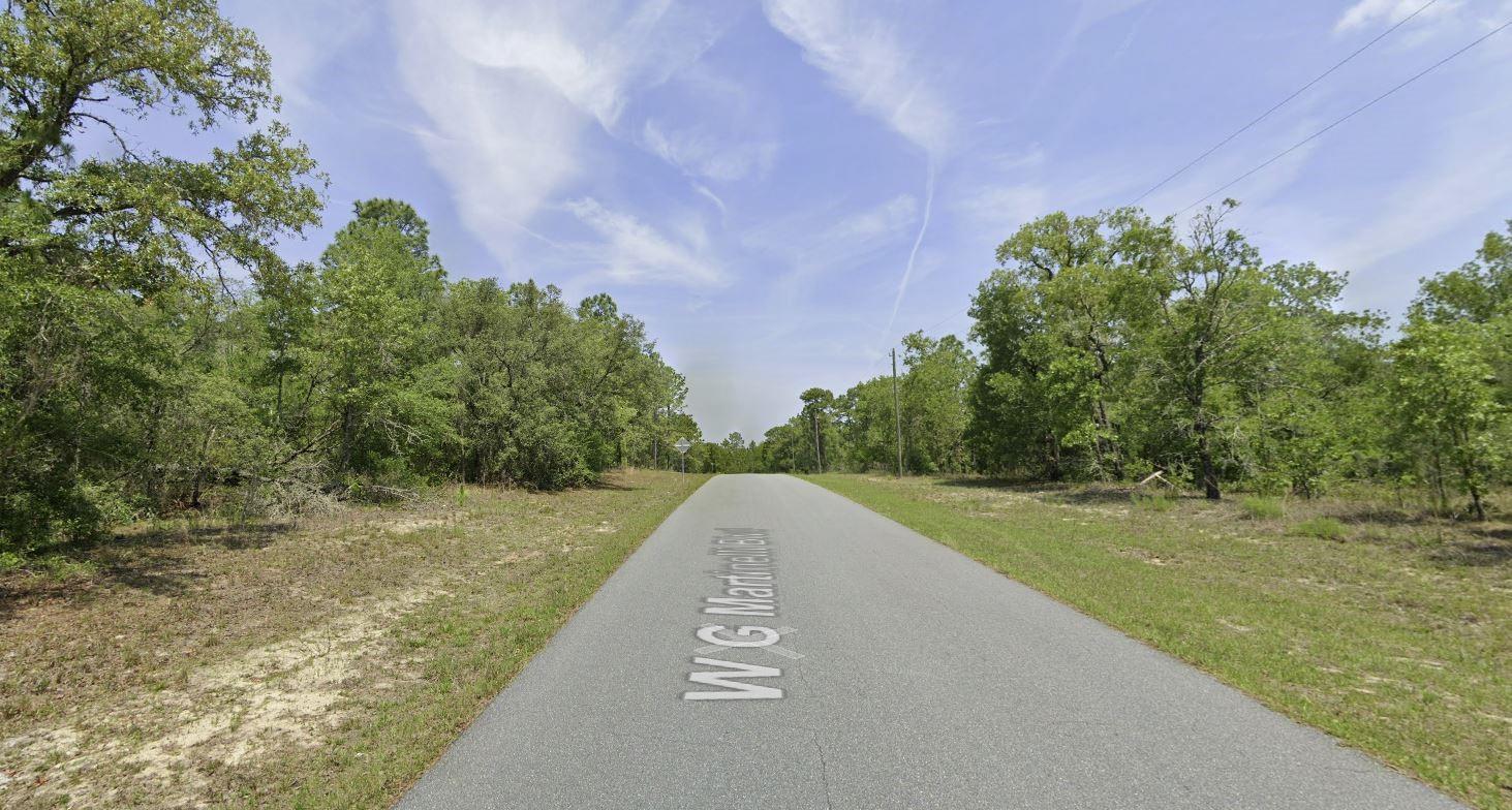 Build your dream home on this beautiful high and dry lot in in desirable Citrus Springs with No HOA or deed restrictions. Bring you RV and boat! New homes already in the area waiting for your home to be built. Electricity nearby making it easy to access power. One lot off the Withlacoochee trail connector. Quiet neighborhood but minutes from shopping, doctors' office, restaurants and just a short drive to the Suncoast Parkway to be in the big cities like Tampa or St. Pete! The property is minutes from Rainbow Springs State Park where you can swim, snorkel, kayak, hike on nature trails, and bike ride.