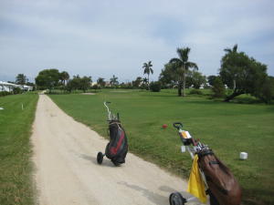 LEISUREVILLE GOLF VIEW - Residential