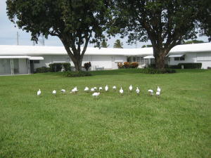 LEISUREVILLE GOLF VIEW - Residential