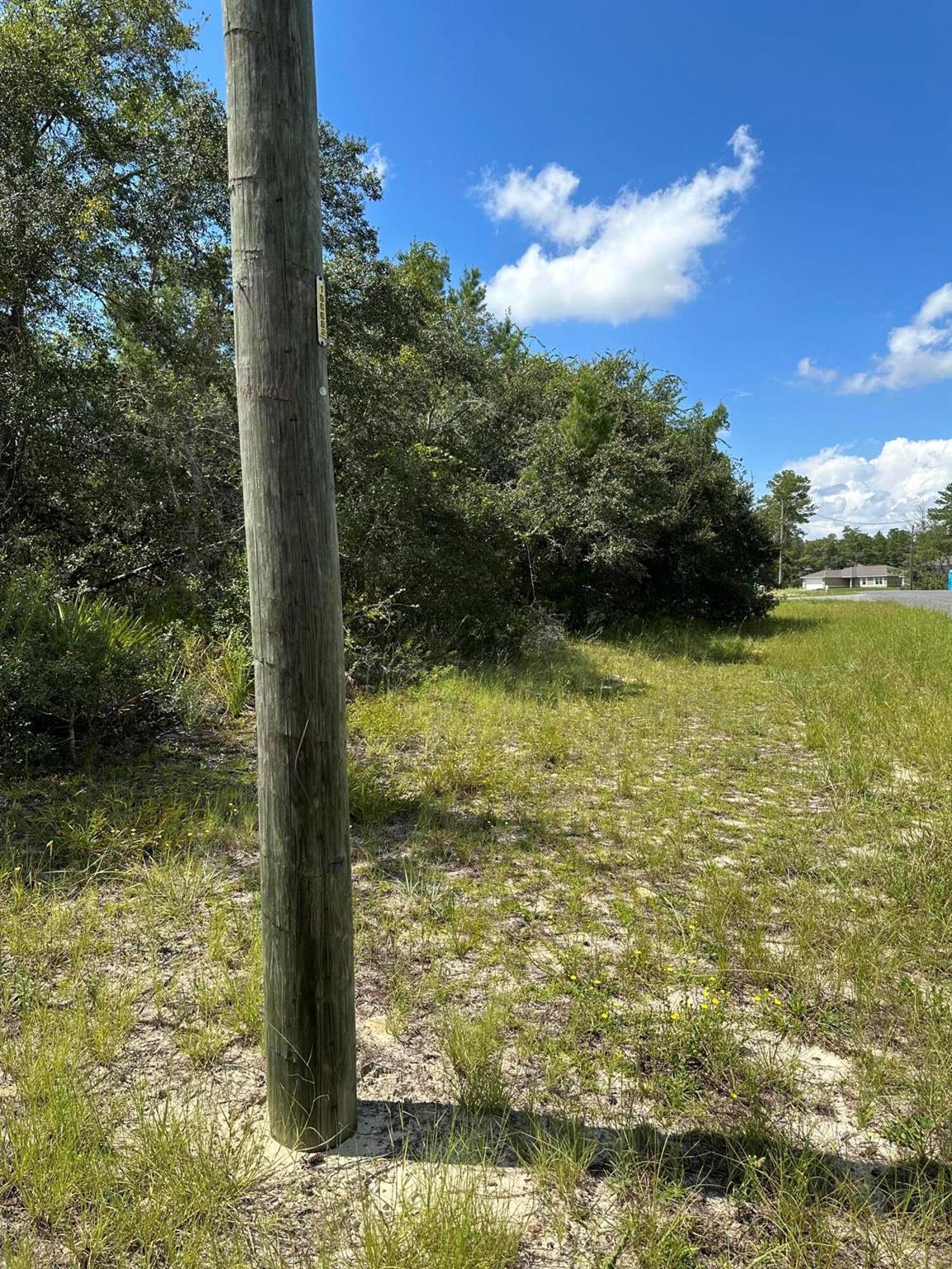 MARION OAKS UNIT 4 INT LOTS - Land