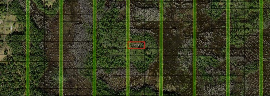 CAMP HUNT RIDE off Old Grade Road in Polk City, FL. This private one acre lot is a blank canvas for your recreational and/or agricultural ventures. Take advantage of our owner financing with only $1,500 down and no closing costs. Superb hutingOwner fiancing available